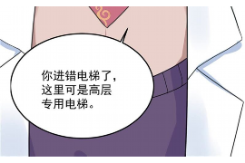 玉龙企业清欠服务